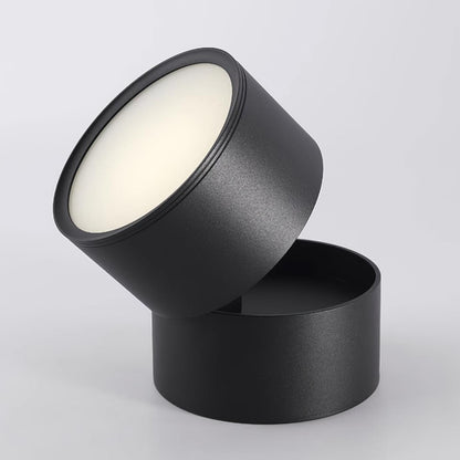 Plafon Punktowy LED Regulowany z Aluminium do Oświetlenia Akcentowego