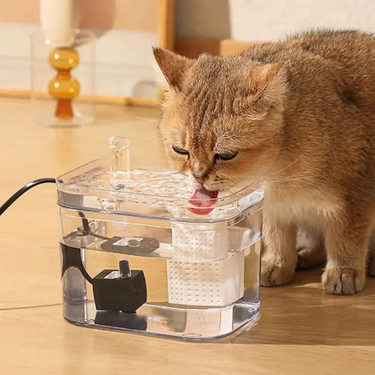 Fontaine à eau pour chat