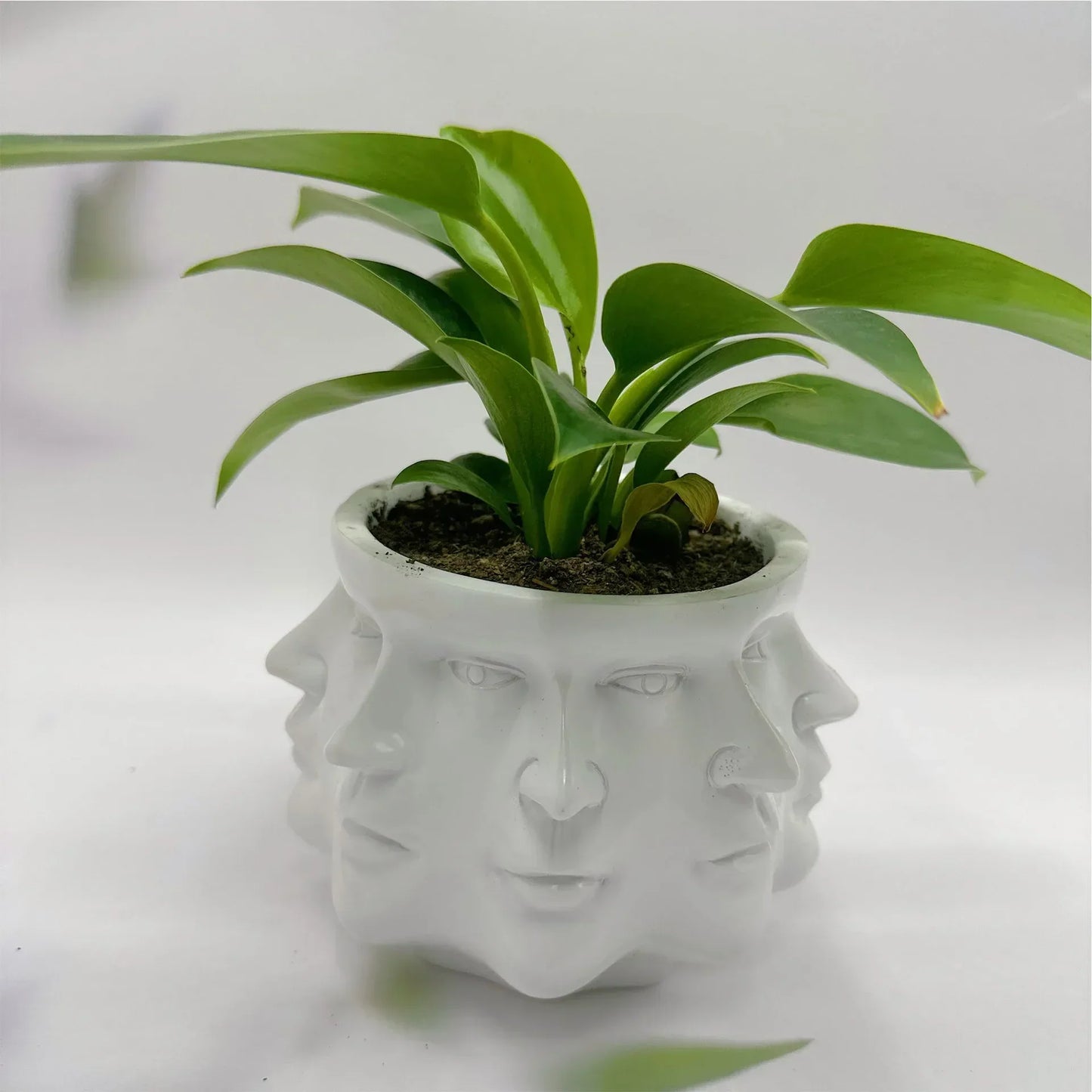 Doniczka z motywem twarzy 3D do roślin doniczkowych 12,5 cm