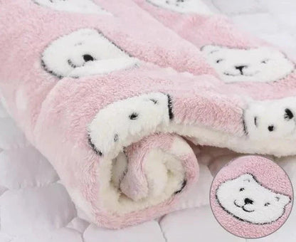 Pet blanket