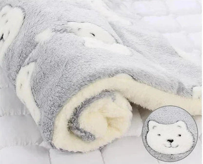 Pet blanket