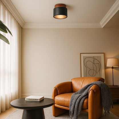 Black and wood ceiling lamp
