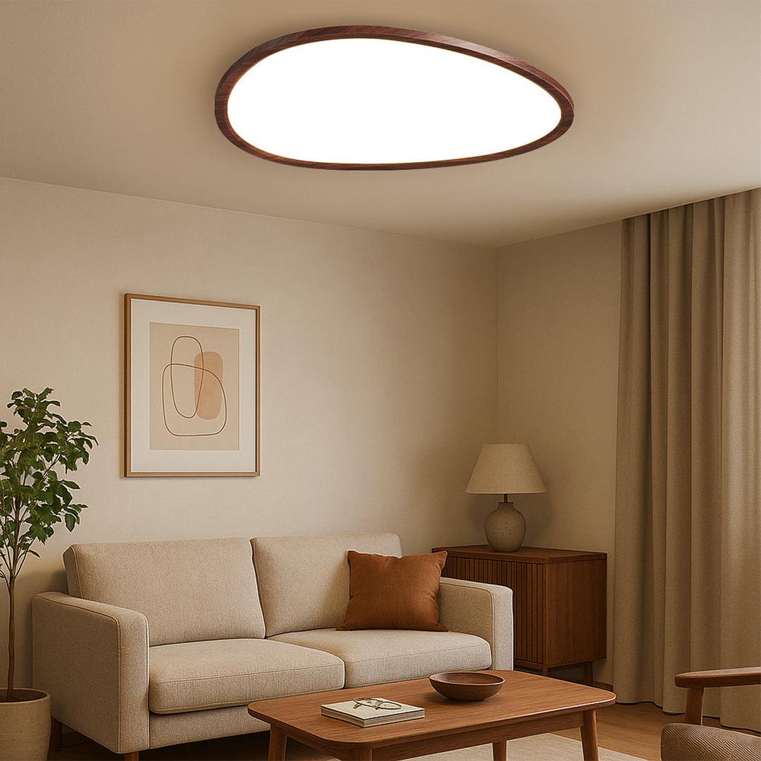 Oval LED ceiling light