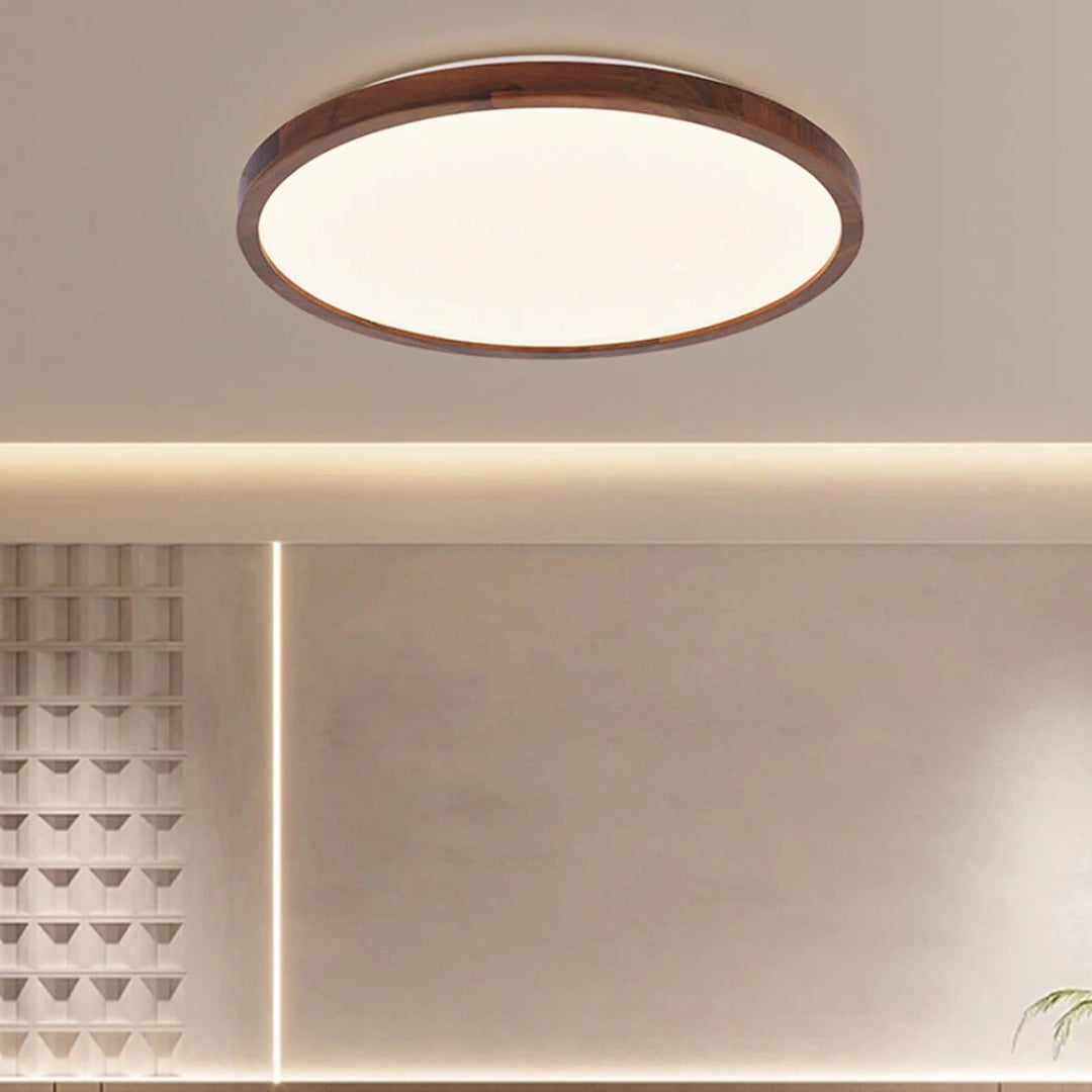 Round moon ceiling lamp