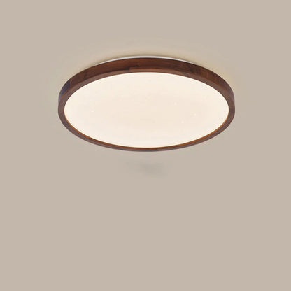 Round moon ceiling lamp
