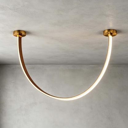 LED ceiling lamp with curved arms