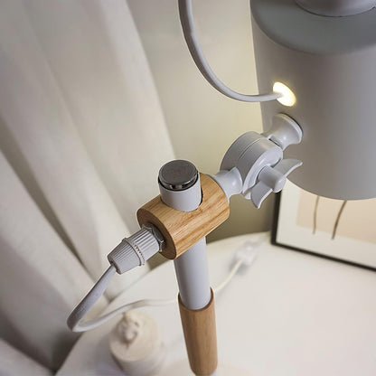 Desk lamp with adjustable shade