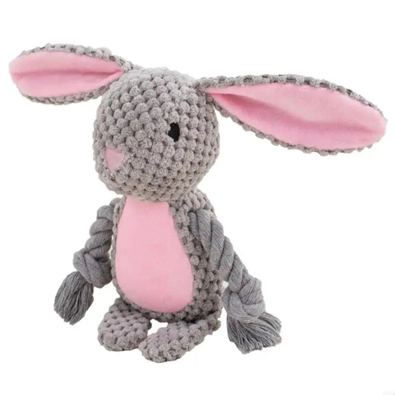 Jouet en peluche pour chien avec corde