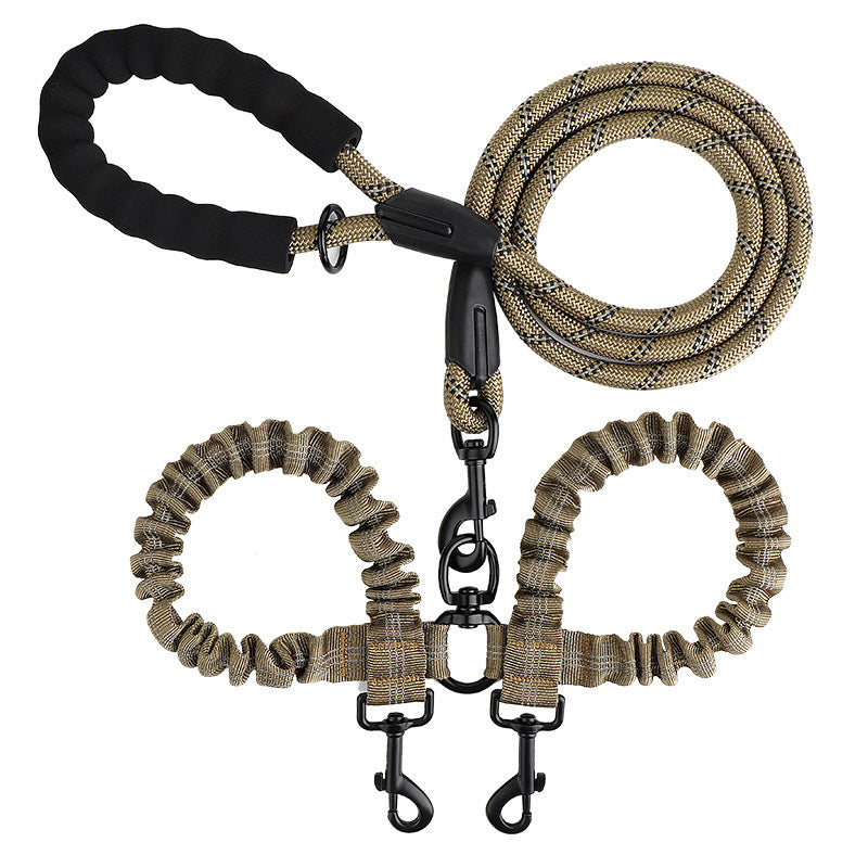 Double leash for two dogs