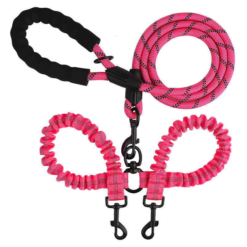 Double leash for two dogs