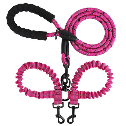 Double leash for two dogs