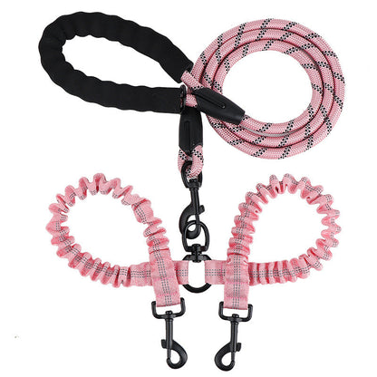 Double leash for two dogs