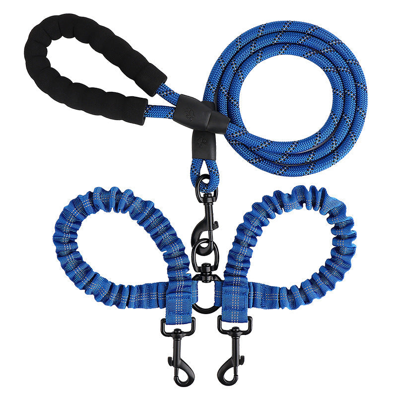 Double leash for two dogs