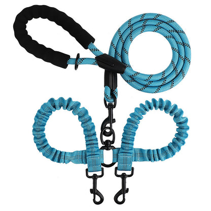 Double leash for two dogs