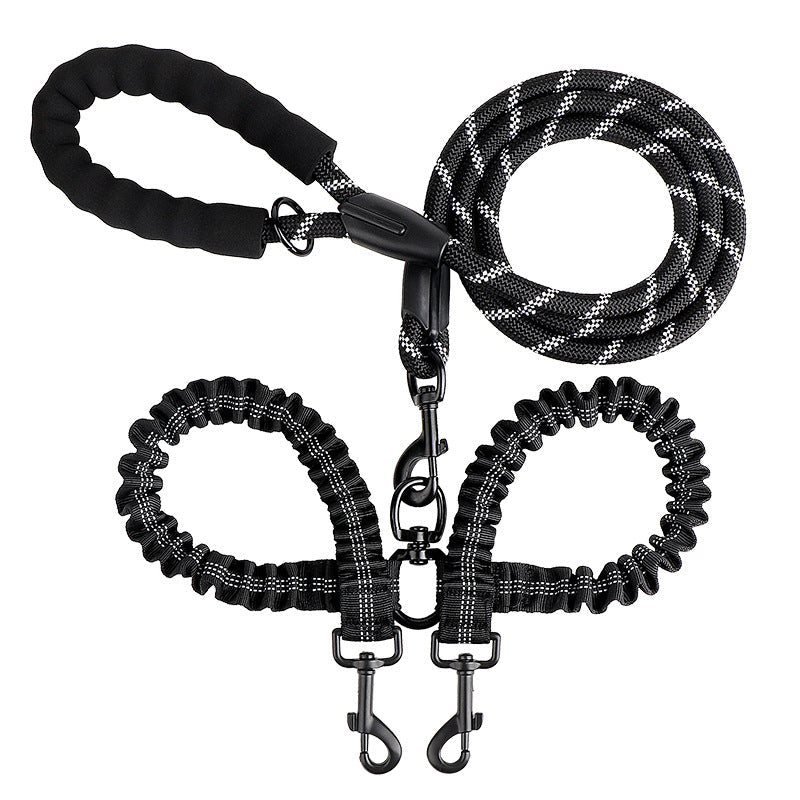 Double leash for two dogs
