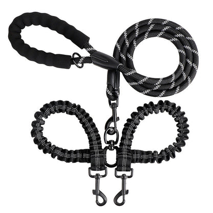 Double leash for two dogs