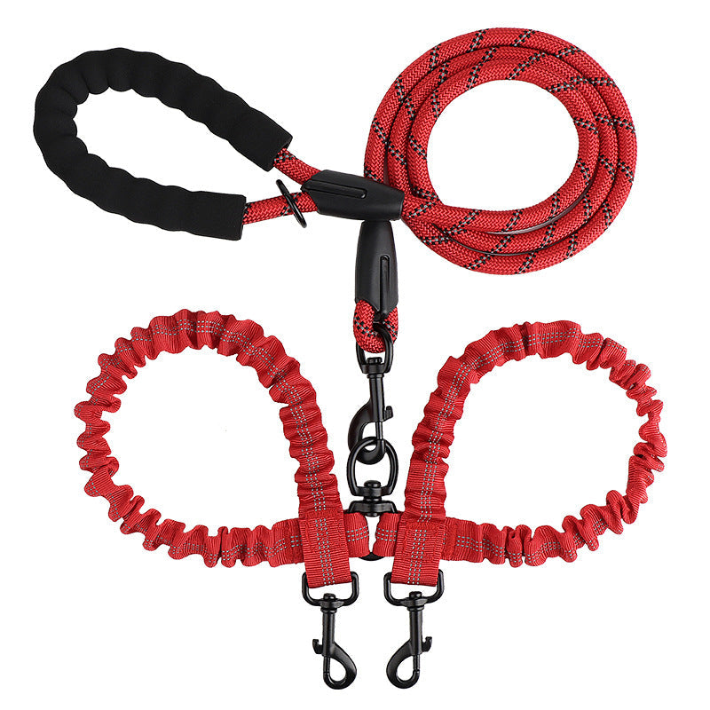 Double leash for two dogs