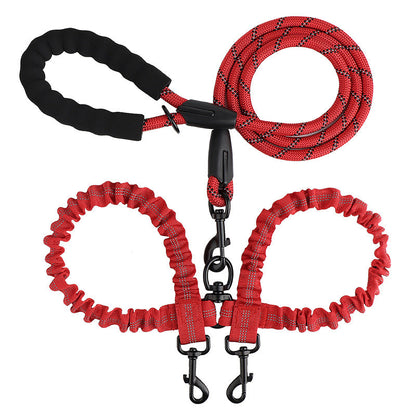 Double leash for two dogs