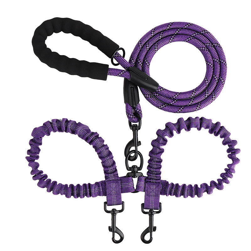 Double leash for two dogs