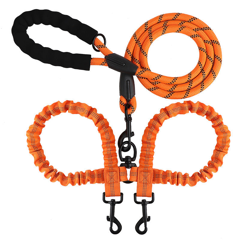 Double leash for two dogs