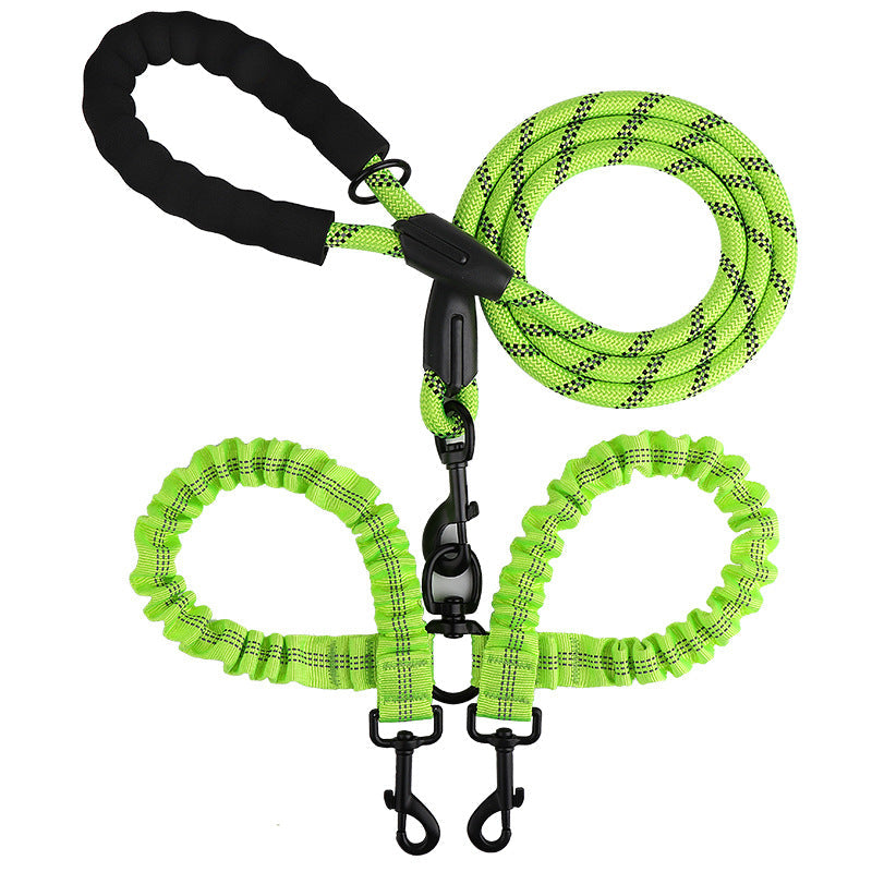 Double leash for two dogs