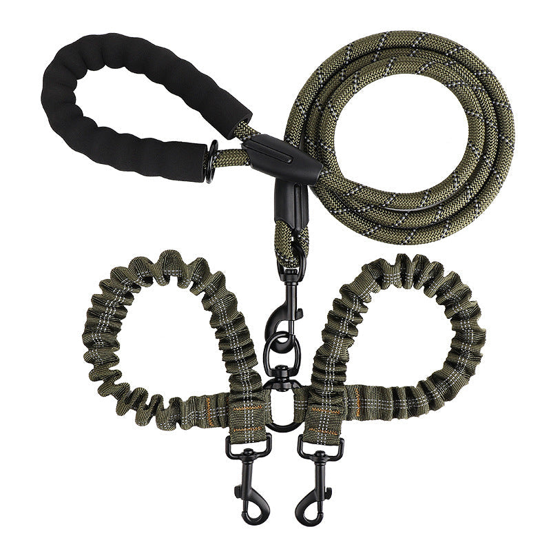 Double leash for two dogs
