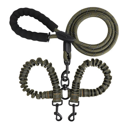 Double leash for two dogs