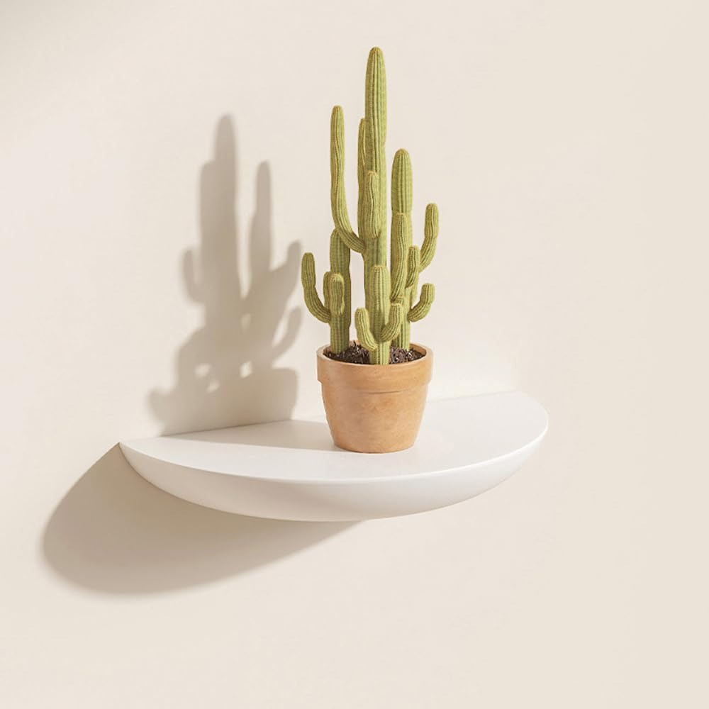 Semicircular wall shelf