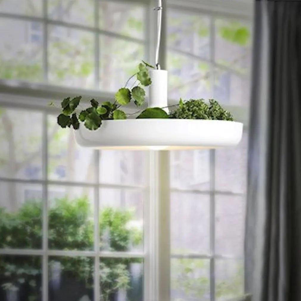 Pendant lamp with a planter