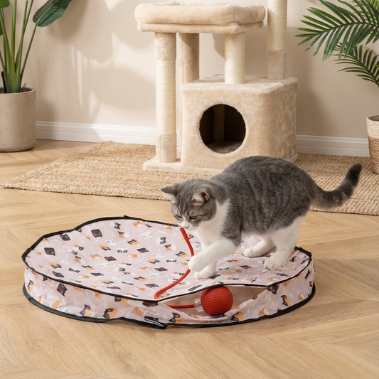 Jouet interactif pour chat avec balle